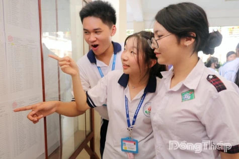 Đồng Tháp: Có 11 học sinh là thủ khoa