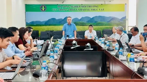 Nhiều địa phương chậm gửi mẫu dấu, xuất khẩu gạo thơm có thể bị ảnh hưởng