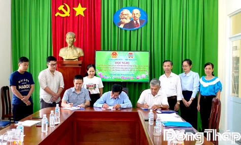 Xã Vĩnh Hựu: Phát triển vùng nguyên liệu ca cao bền vững xen canh vườn dừa