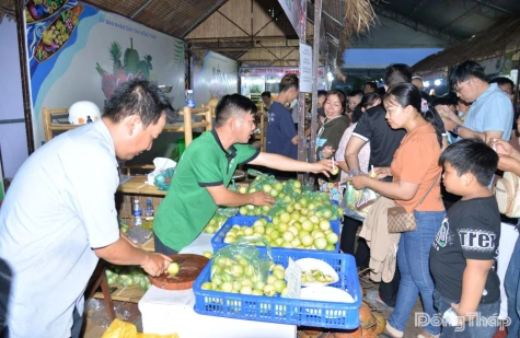 Businesses and Cooperatives Score Big at the Inaugural Dong Thap Fruit Festival