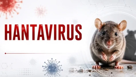 Nhận biết sớm bệnh do virus Hanta để tránh suy hô hấp, tổn thương thận