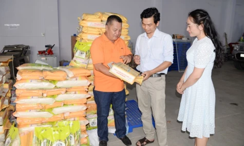Đồng Tháp: Đẩy mạnh hỗ trợ phát triển tài sản trí tuệ