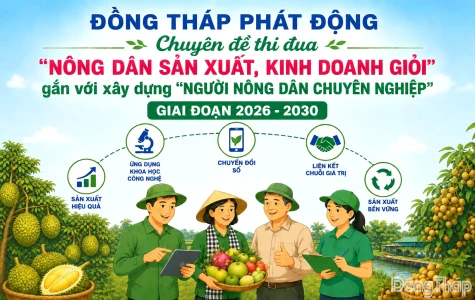 Đồng Tháp: Thi đua “Nông dân sản xuất, kinh doanh giỏi” gắn với xây dựng “Người nông dân chuyên nghiệp”