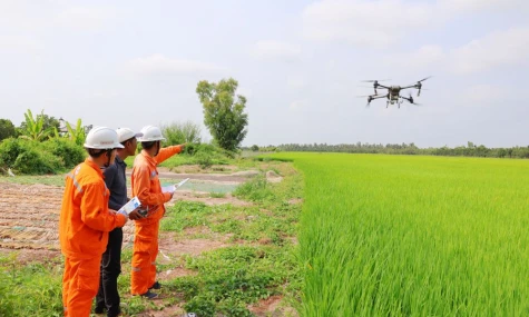 Bảo vệ an toàn hành lang lưới điện: Mỗi người dân là một “lá chắn”