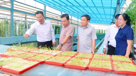 Đồng chí Phan Văn Thắng khảo sát mô hình Nông trại Suối Gạo