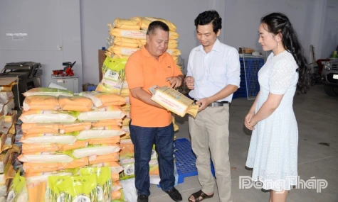 Dong Thap: Stepping Up Support for Intellectual Property Development