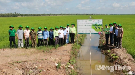 Tram Chim Discusses Ecological Rice Development Linked to Product Consumption Partnerships
