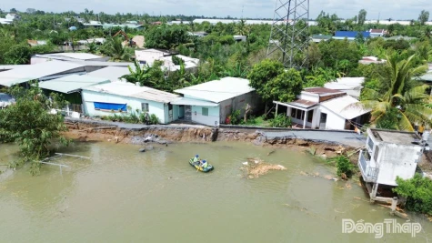 Đường bờ Tây sông Cổ Cò sạt lở hơn 40 m, gây chia cắt giao thông