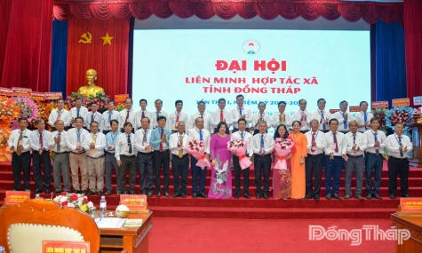 Đồng chí Lê Quang Cường giữ chức Chủ tịch Liên minh Hợp tác xã tỉnh Đồng Tháp, nhiệm kỳ 2025 - 2030