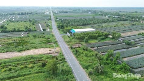 Đồng Tháp: Khởi công 2 dự án giao thông trọng điểm hơn 1.440 tỷ đồng vào đầu tháng 7-2026