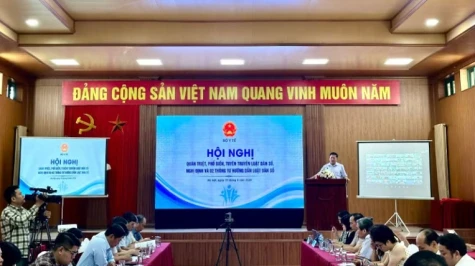 Nhiều chính sách dân số mới có hiệu lực từ 1-7: Tăng hỗ trợ sinh con, cấm tiết lộ giới tính thai nhi
