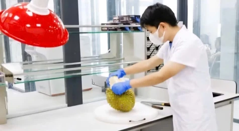 Trung tâm giám định thử nghiệm Tân Đại Dương được công nhận năng lực phân tích Cadimi và Vàng O kiềm