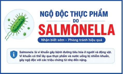 [Infographic] Ngộ độc thực phẩm do vi khuẩn Salmonella, nhận biết sớm và phòng tránh hiệu quả