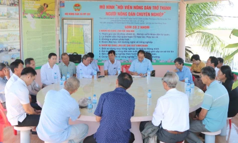 Tham quan, học tập kinh nghiệm mô hình sản xuất lúa tại Hợp tác xã Dịch vụ nông nghiệp Thắng Lợi