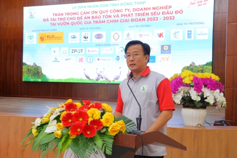 Đồng Tháp: Đón thêm 6 cá thể sếu đầu đỏ phục vụ công tác bảo tồn