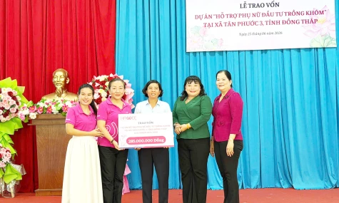Đồng Tháp: Trao 285 triệu đồng hỗ trợ 19 phụ nữ hoàn cảnh khó khăn trồng khóm