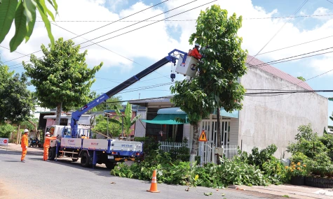 Đồng Tháp: Chủ động ứng phó thời tiết cực đoan