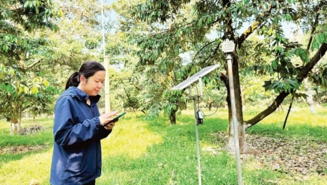 Bảo đảm mục tiêu tăng trưởng trước nguy cơ El Nino