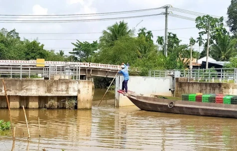 Chương trình hành động của Chính phủ phòng, chống sạt lở, ngập úng, hạn hán, xâm nhập mặn vùng ĐBSCL