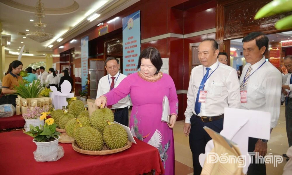 Dong Thap's collective economy gains strong momentum
