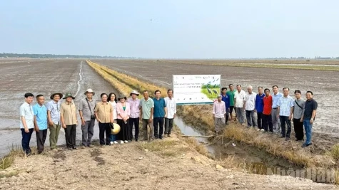 Tăng trưởng kinh tế cần đi cùng an ninh sinh thái và sức khỏe cộng đồng