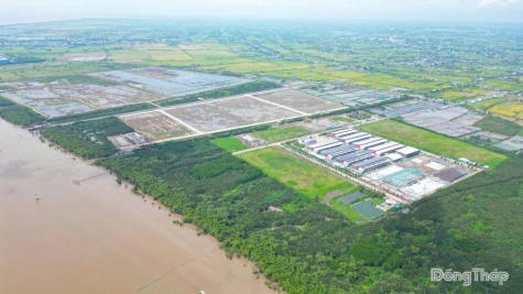 Đồng Tháp: Chấp thuận chủ trương đầu tư Dự án Khu công nghiệp Dịch vụ dầu khí Soài Rạp