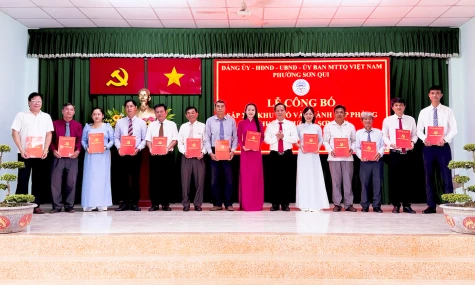 Phường Sơn Qui: Công bố sắp xếp khu phố và thành lập phòng chuyên môn