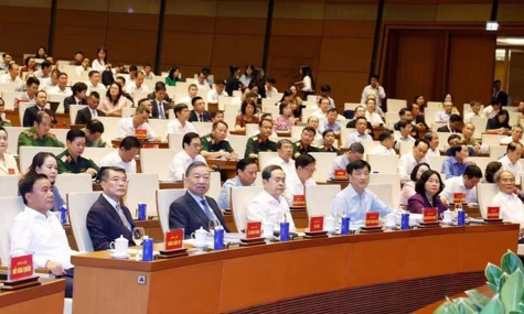 National conference held to disseminate Politburo's Resolution No. 10-NQ/TW