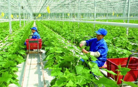 Chính sách về khuyến nông