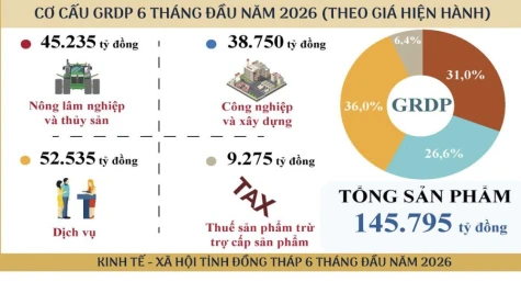 Đồng Tháp: GRDP 6 tháng đầu năm 2026 tăng 7,14%, đứng thứ 2 khu vực Đồng bằng sông Cửu Long