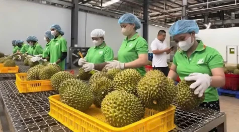 Xây dựng nền tảng dữ liệu thống nhất cho nông nghiệp