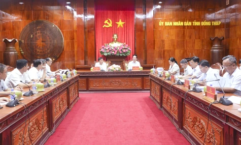 Đồng Tháp: Nhiều công trình điện trọng điểm được triển khai