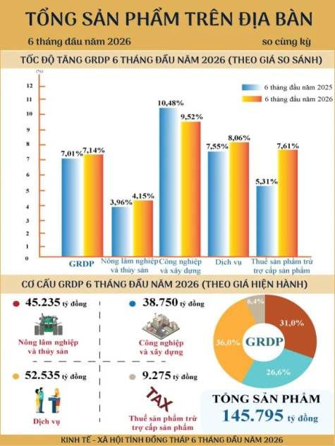 Dong Thap: GRDP Grows 7.14% in the First Half of 2026, Ranking Second in the Mekong Delta