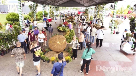 From Festival to the Journey of Elevating Vietnamese Fruit