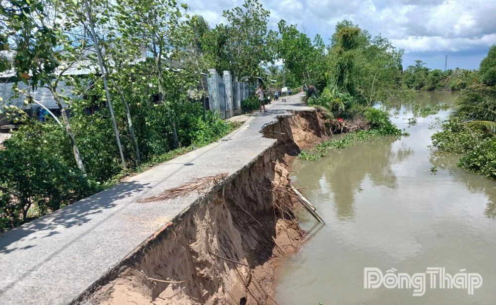 Đồng Tháp: Chủ động triển khai các giải pháp ứng phó sạt lở bờ sông, kinh, rạch