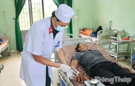 Cảnh báo nguy cơ rắn độc cắn tăng cao trong mùa mưa