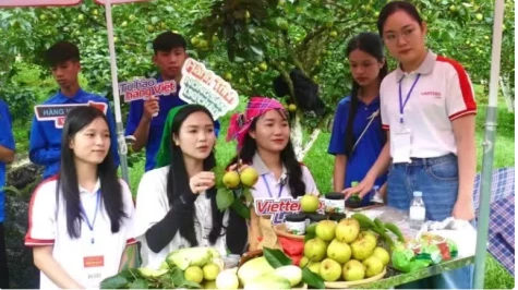 Phải công khai quy chế livestream bán hàng trên nền tảng thương mại điện tử