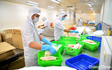 Những điểm sáng trong bức tranh kinh tế