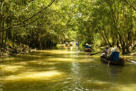 Khu Sinh thái Gáo Giồng: Từ vùng đất ngập nước đến không gian đa giá trị của Đồng Tháp Mười