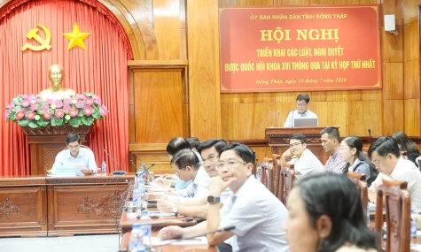 Đồng Tháp: Triển khai các luật, nghị quyết mới ban hành của Quốc hội khóa XVI