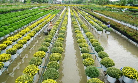 Ngồi xuống giữa một miền quê