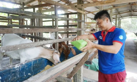 Xã Tân Phú Trung: Nguồn vốn tín dụng chính sách tiếp sức người dân phát triển kinh tế