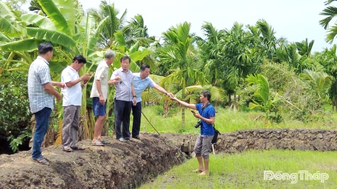 Đồng chí Nguyễn Phước Thiện khảo sát tình hình cây trồng bị thiệt hại chưa rõ nguyên nhân tại xã Tân Phước 3