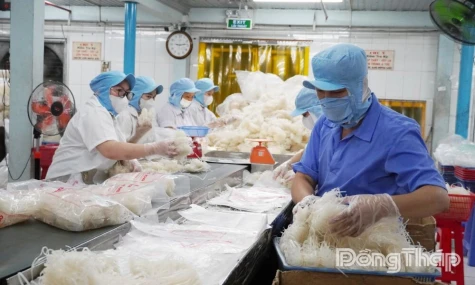 Dong Thap: Exports reaffirm role as a growth driver