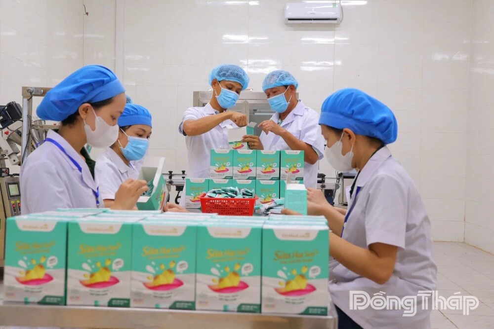 Deep Processing Adding Value to Dong Thap’s Lotus