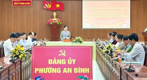 Đồng chí Châu Thị Mỹ Phương: Phường An Bình đẩy mạnh ứng dụng khoa học - công nghệ vào đời sống