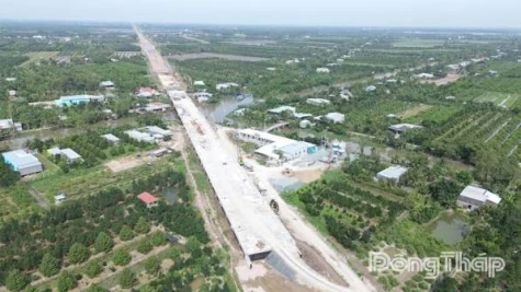 Đồng Tháp: Thành lập Bộ phận nghiên cứu chuyên đề trực thuộc Tỉnh ủy