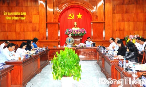 Khảo sát việc triển khai thực hiện Nghị quyết số 72 của Bộ Chính trị và các chương trình, kế hoạch của tỉnh về chăm sóc sức khỏe Nhân dân