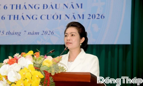 Đồng Tháp: Triển khai hiệu quả các hoạt động văn hóa, thể thao và du lịch
