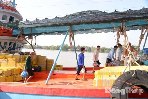 Đồng Tháp siết chặt chống khai thác thủy sản bất hợp pháp